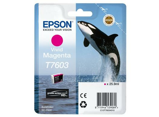 [C13T76034N10] Epson C13T76034N10 ink cartridge 1 pc(s) Original Vivid magenta