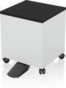Epson 7112286 printer/scanner spare part/accessory Cabinet 1 pc(s)