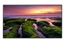 Samsung QB75B Digital signage flat panel 190.5 cm (75") Wi-Fi 350 cd/m² 4K Ultra HD Black Built-in processor Tizen 6.5 16/7
