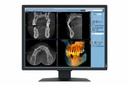 EIZO RadiForce MX217-SB computer monitor 53.3 cm (21") 1200 x 1600 pixels UXGA LCD Black