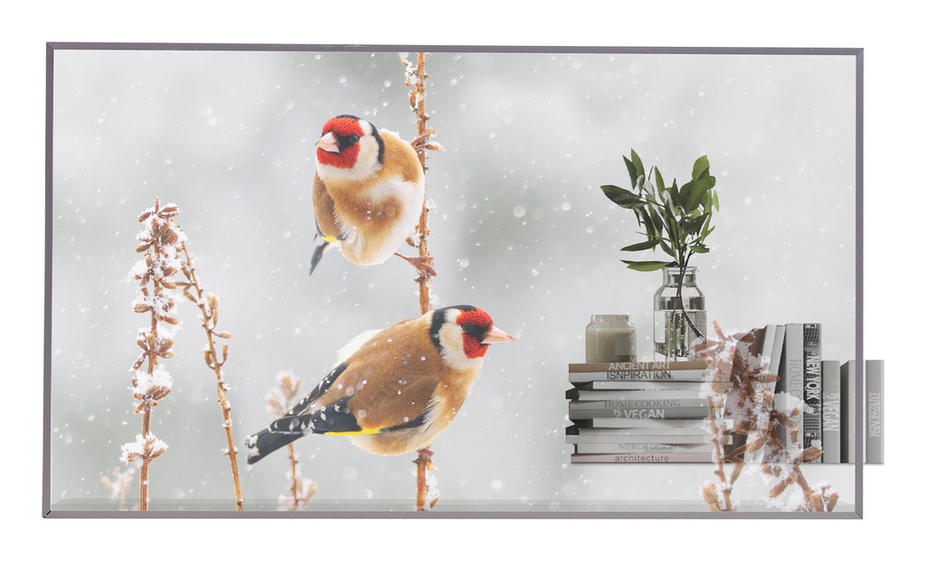 [55EW5P-M.AEU] LG 55EW5P-M visualizzatore di messaggi 139,7 cm (55") OLED 600 cd/m² Full HD Argento Touch screen 18/7