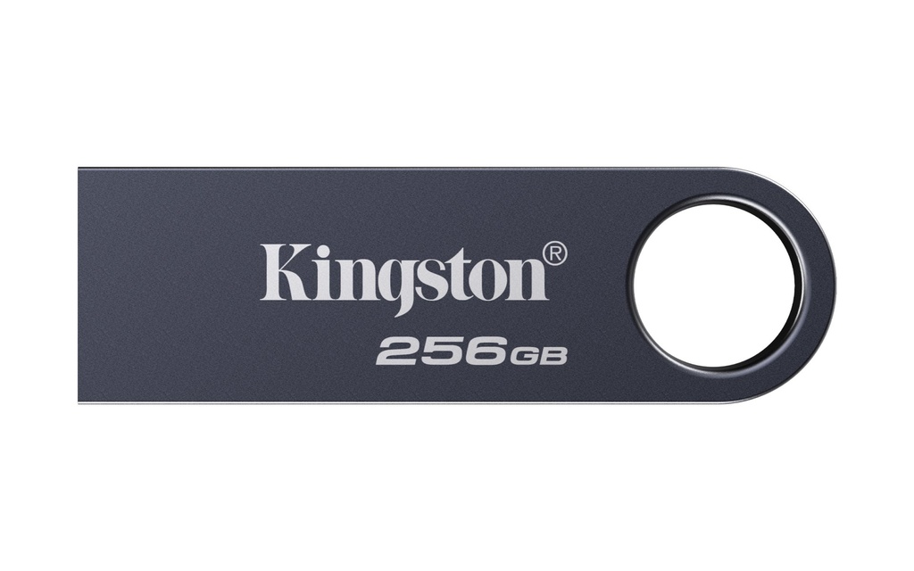 Pendrive USB Kingston Technology DataTraveler 256GB SE9 G3 Nichel scuro