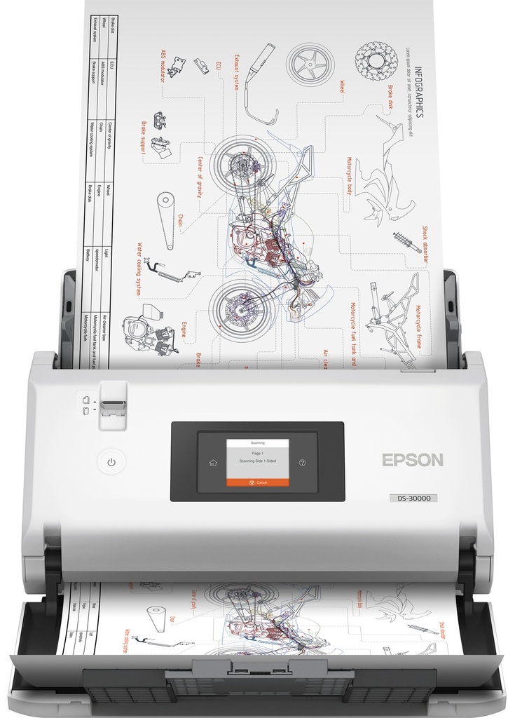 Epson WorkForce DS-30000 ‎ Sheet-fed scanner 600 x 600 DPI A3 White
