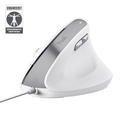 Trust Bayo II mouse Office Right-hand USB Type-A Optical 2400 DPI