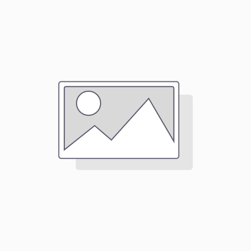DELL 345-BFSM internal solid state drive 3.84 TB 2.5" SAS