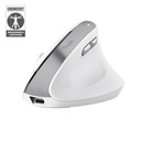 Trust Bayo II mouse Office Right-hand RF Wireless Optical 2400 DPI