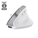 Trust Bayo+ mouse Office Right-hand RF Wireless + Bluetooth Optical 2400 DPI