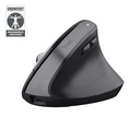 Trust Bayo+ mouse Office Right-hand RF Wireless + Bluetooth Optical 2400 DPI