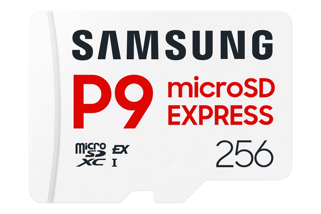 Scheda microSD Samsung P9 Express 256 GB