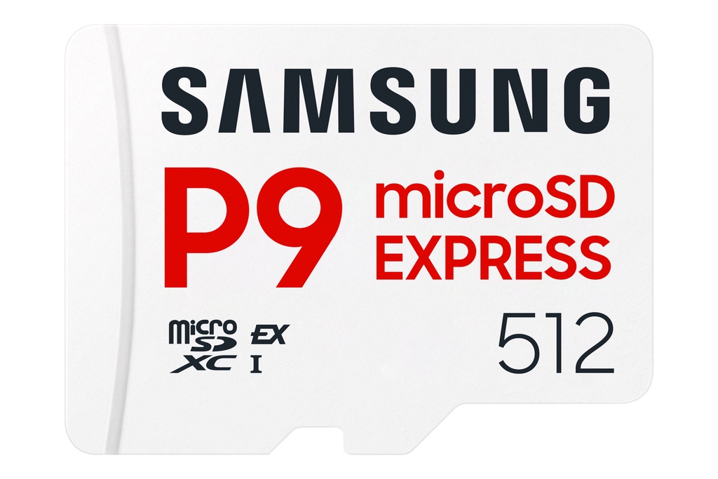 Scheda microSD Samsung P9 Express 512 GB