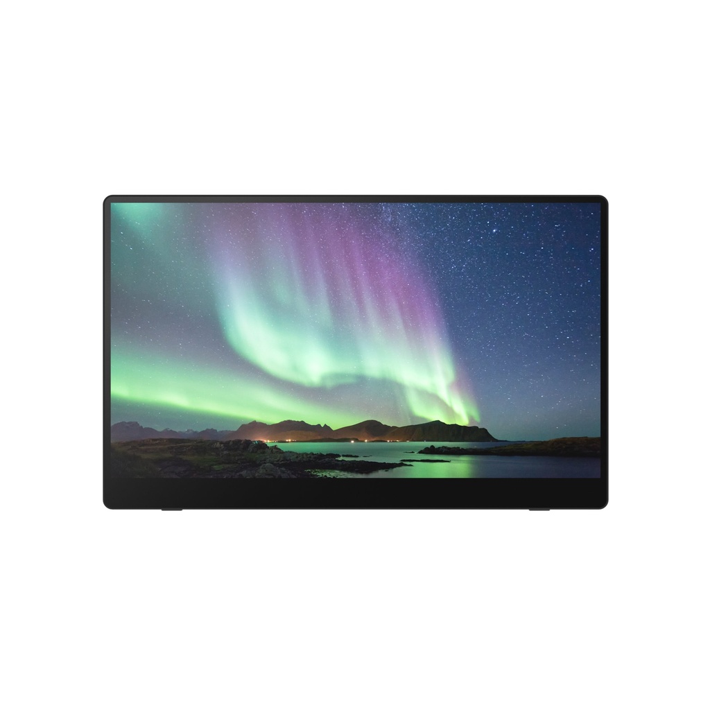 [514909] MONITOR PORTATILE RICOH 150